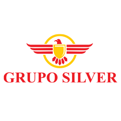 Grupo Silver